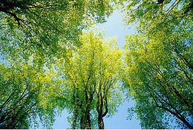 《幻刃奇美拉》登陆Steam＆Switch 2D银恶城动作